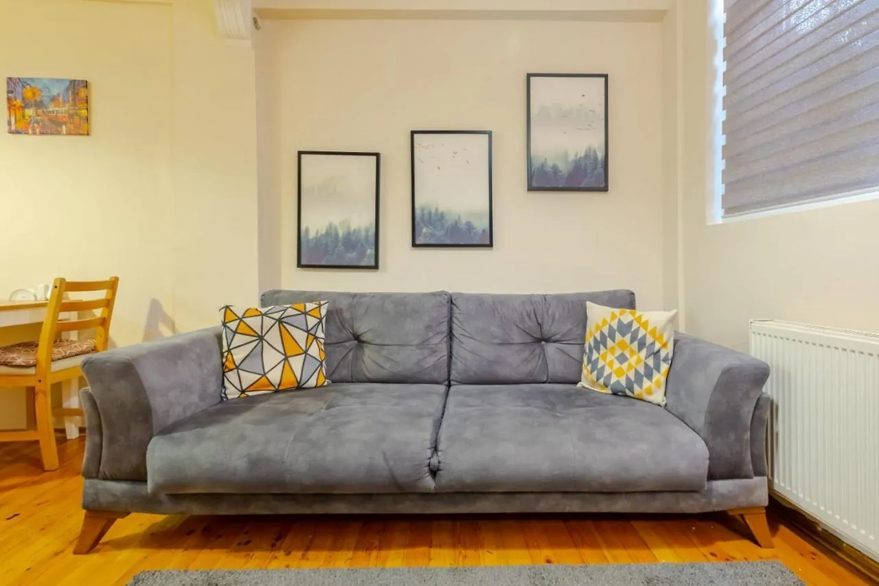 Centrally Located Flat With Balcony In Beyoglu Istanbul Apartment