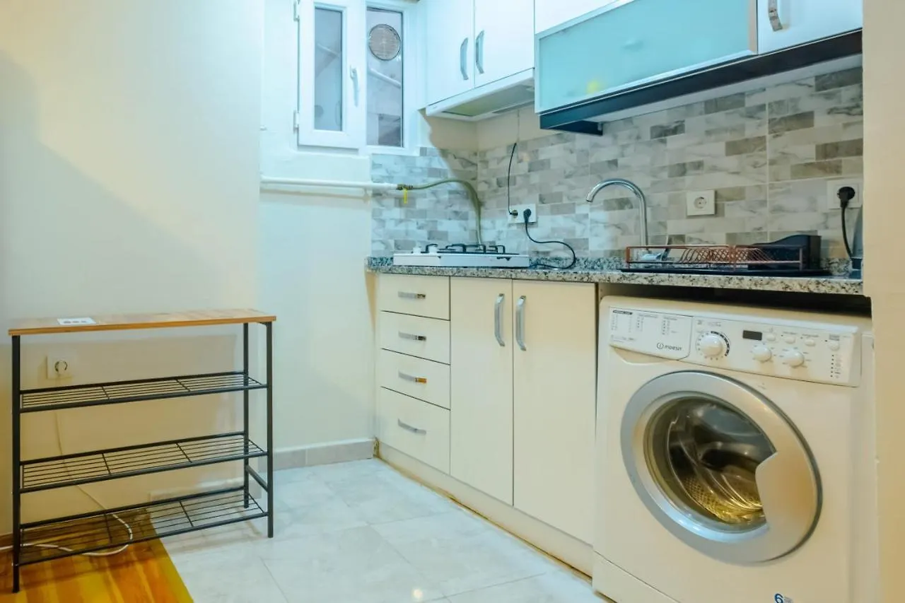 Centrally Located Flat With Balcony In Beyoglu Istanbul